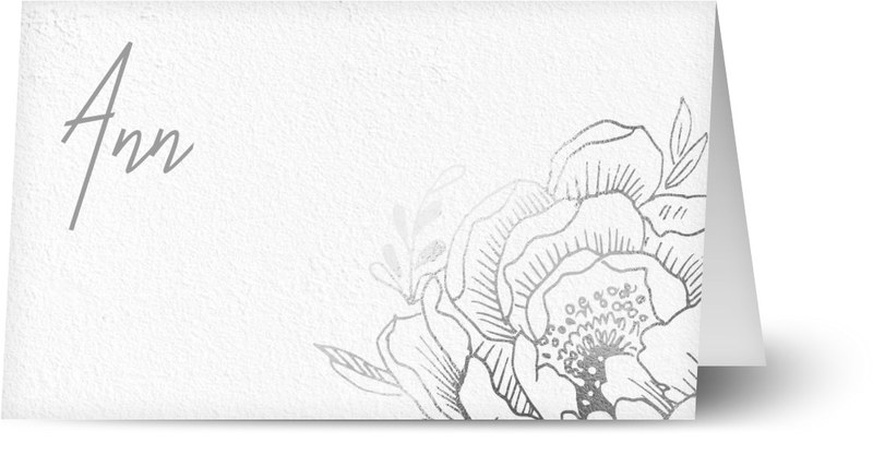 item preview