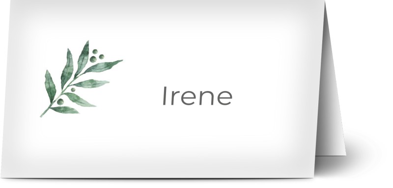 item preview