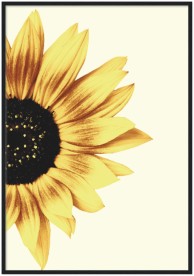 item preview