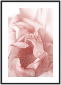 item preview