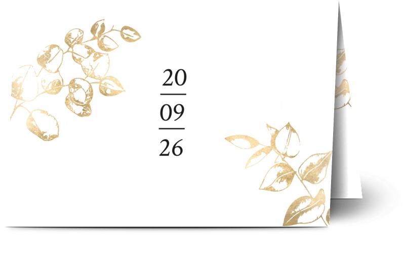 item preview