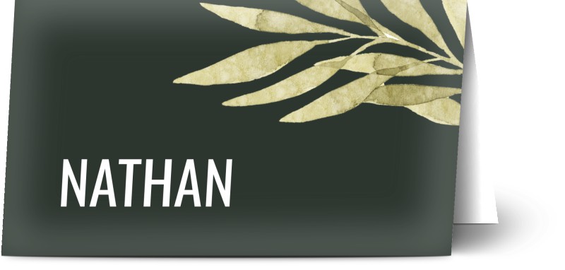 item preview