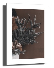 item preview