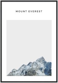 item preview