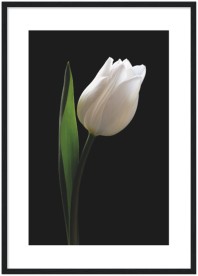 item preview