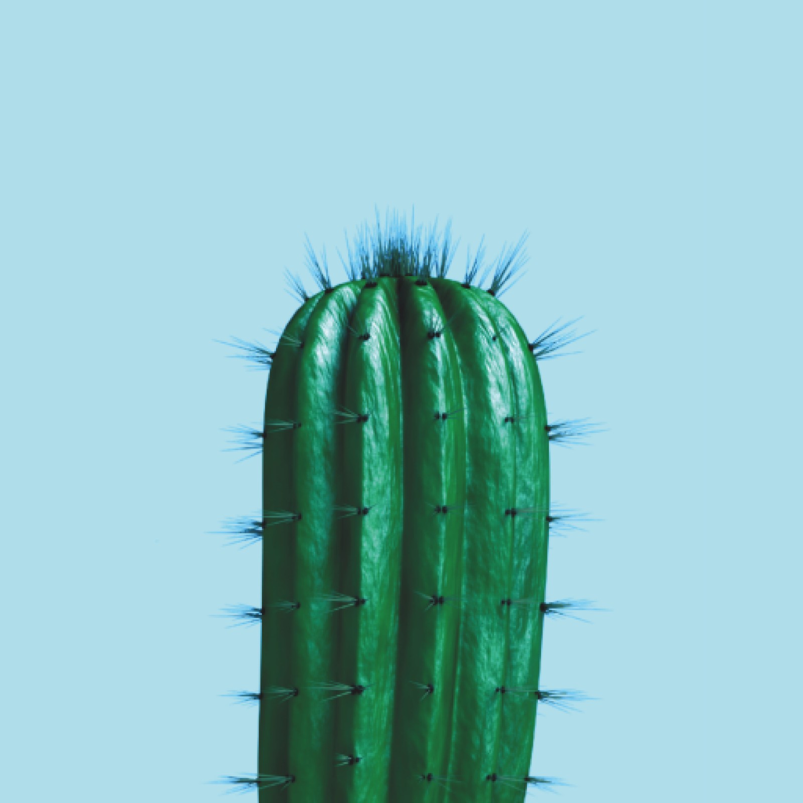 item preview