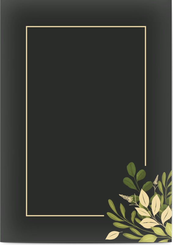 item preview