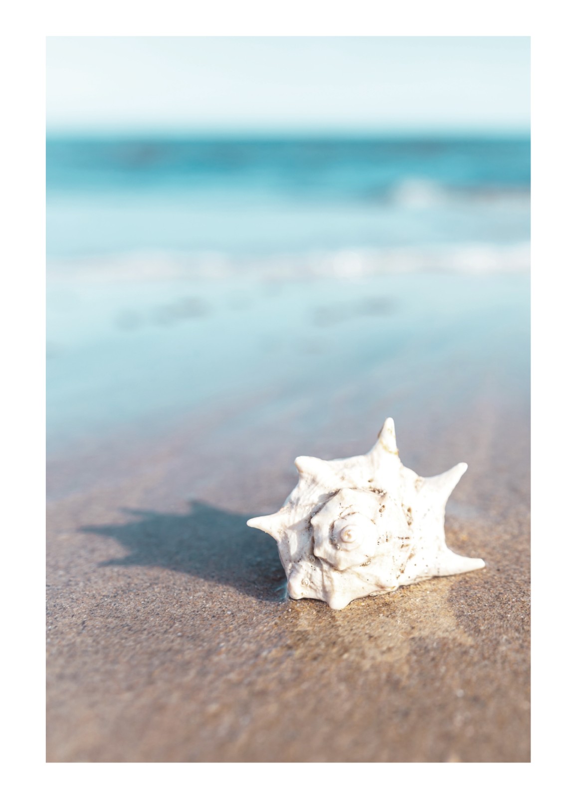 item preview