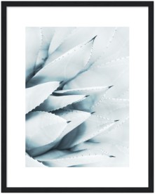 item preview