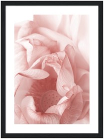 item preview