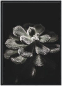 item preview