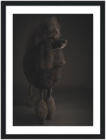 item preview