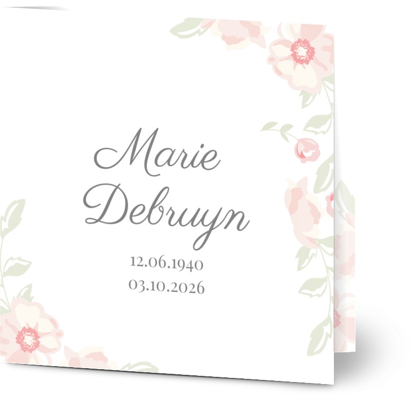 item preview