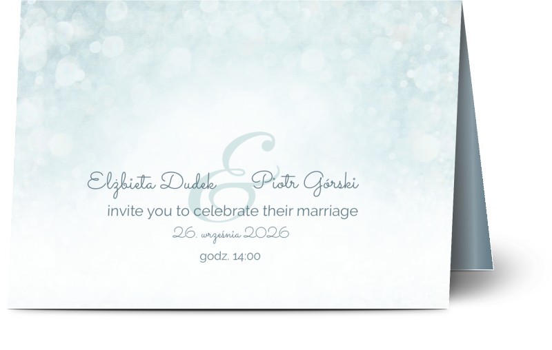 item preview