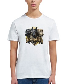 item preview
