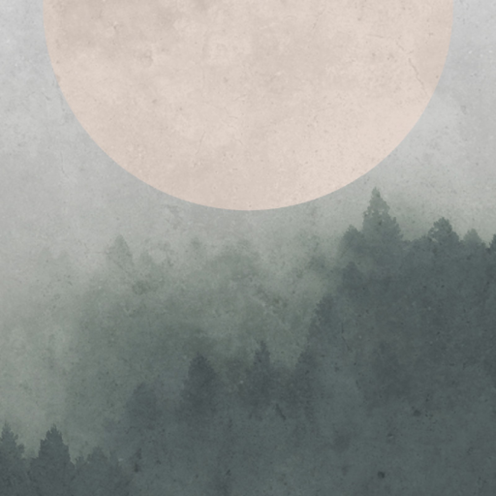 item preview