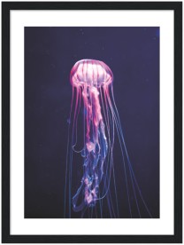 item preview