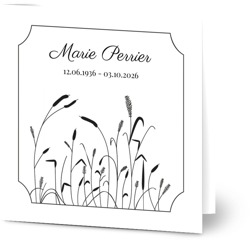item preview