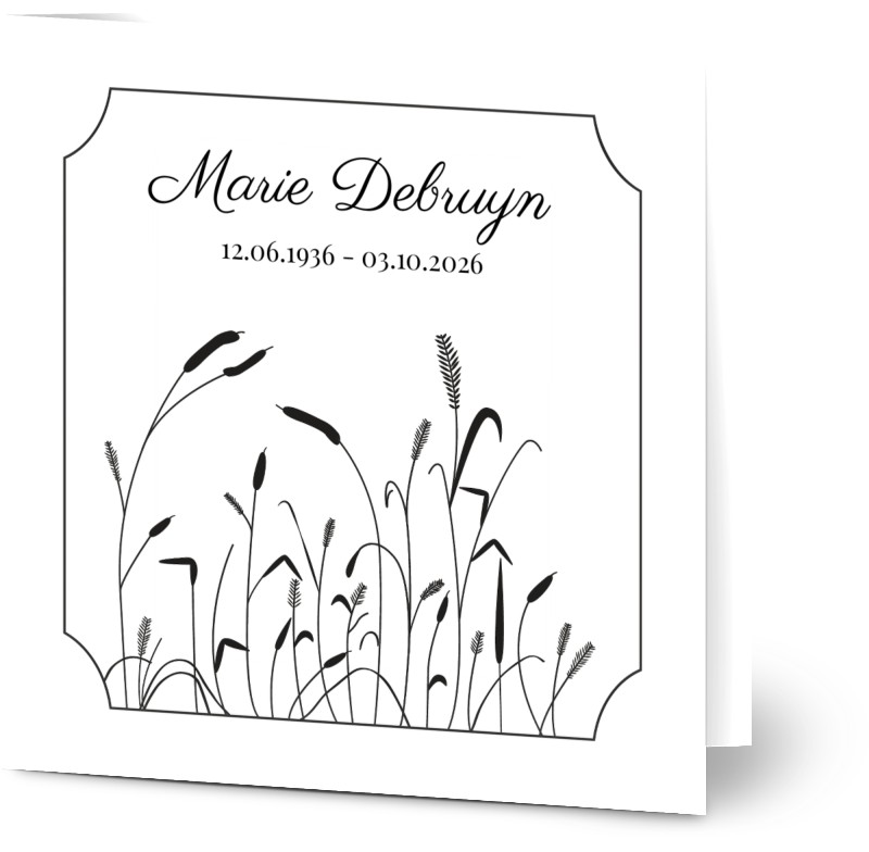 item preview
