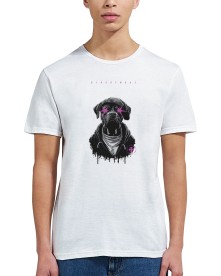 item preview