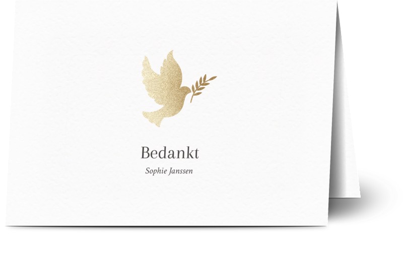 item preview