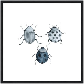 item preview