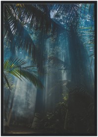 item preview