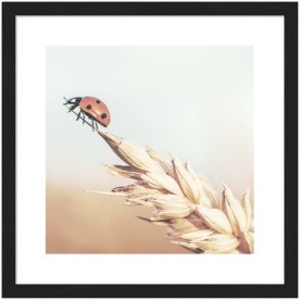 item preview
