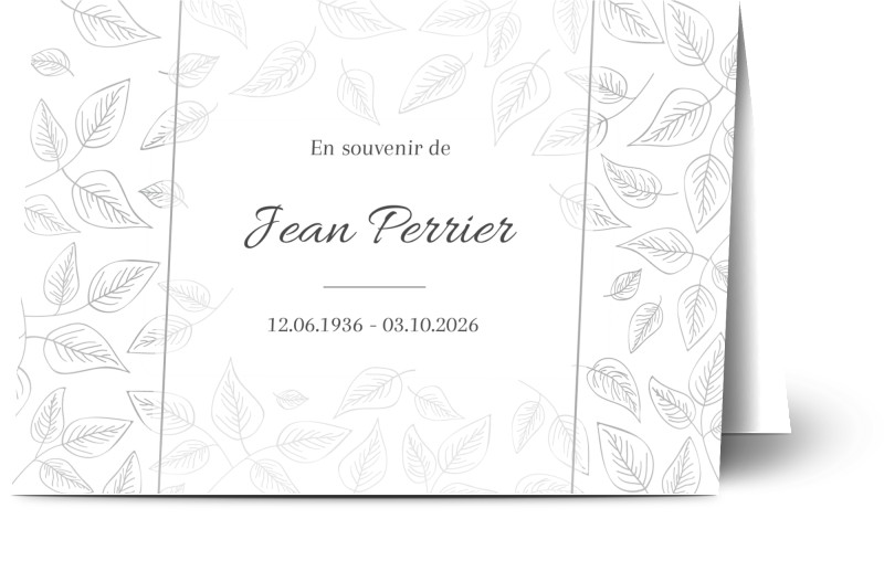 item preview