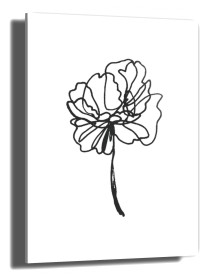 item preview