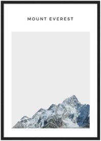 item preview