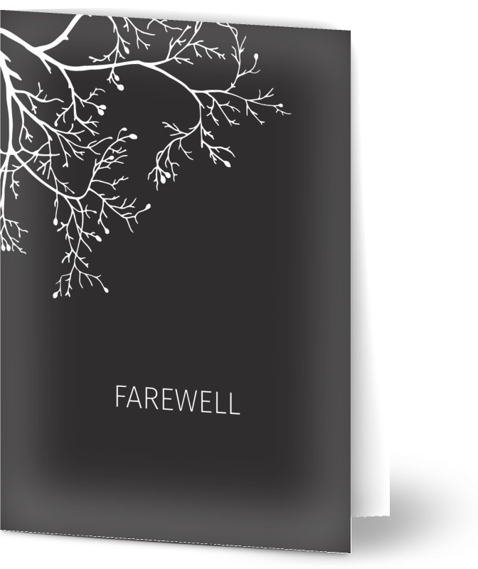 item preview