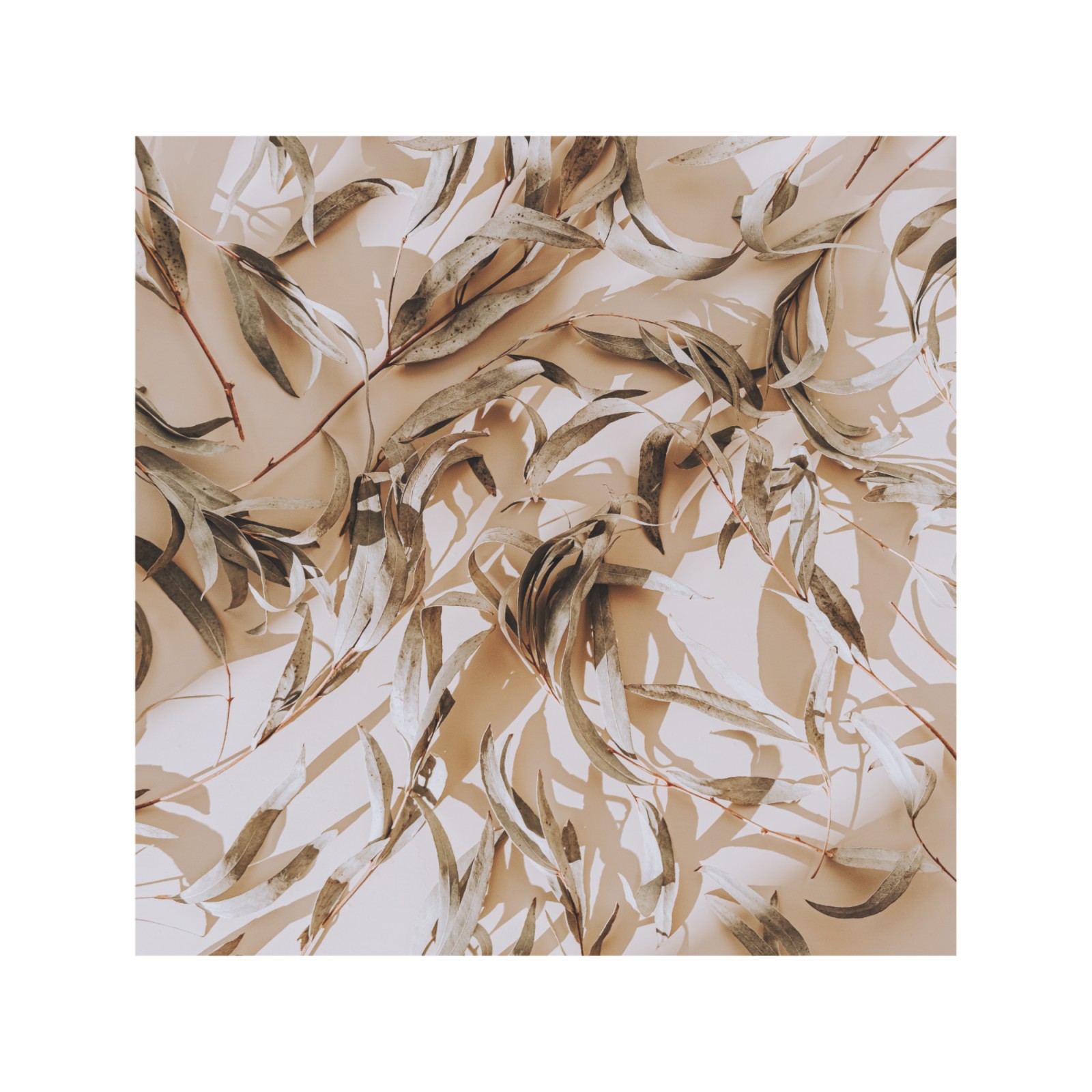 item preview