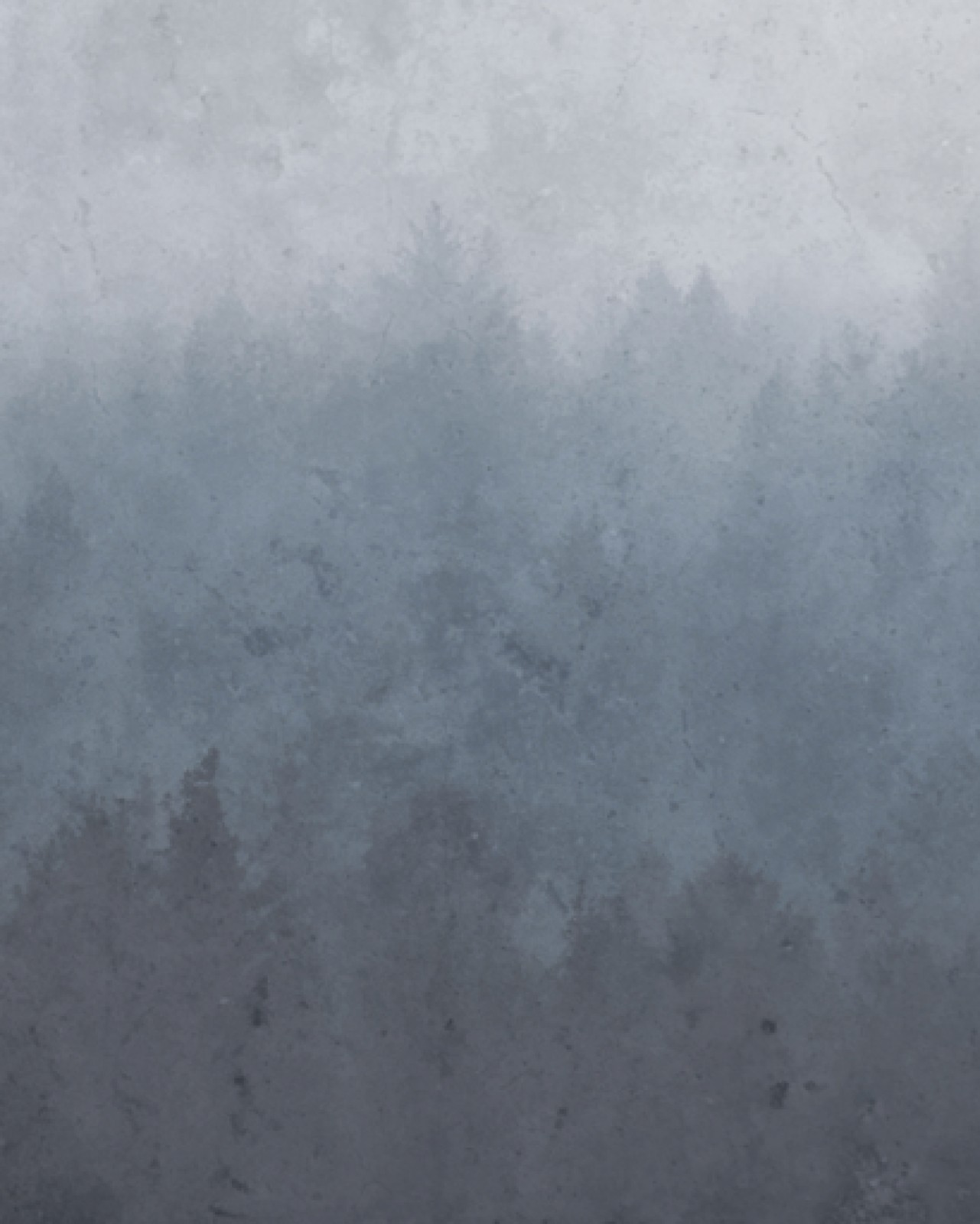 item preview