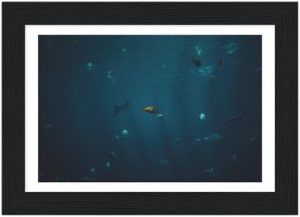 item preview