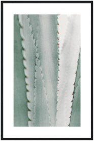 item preview