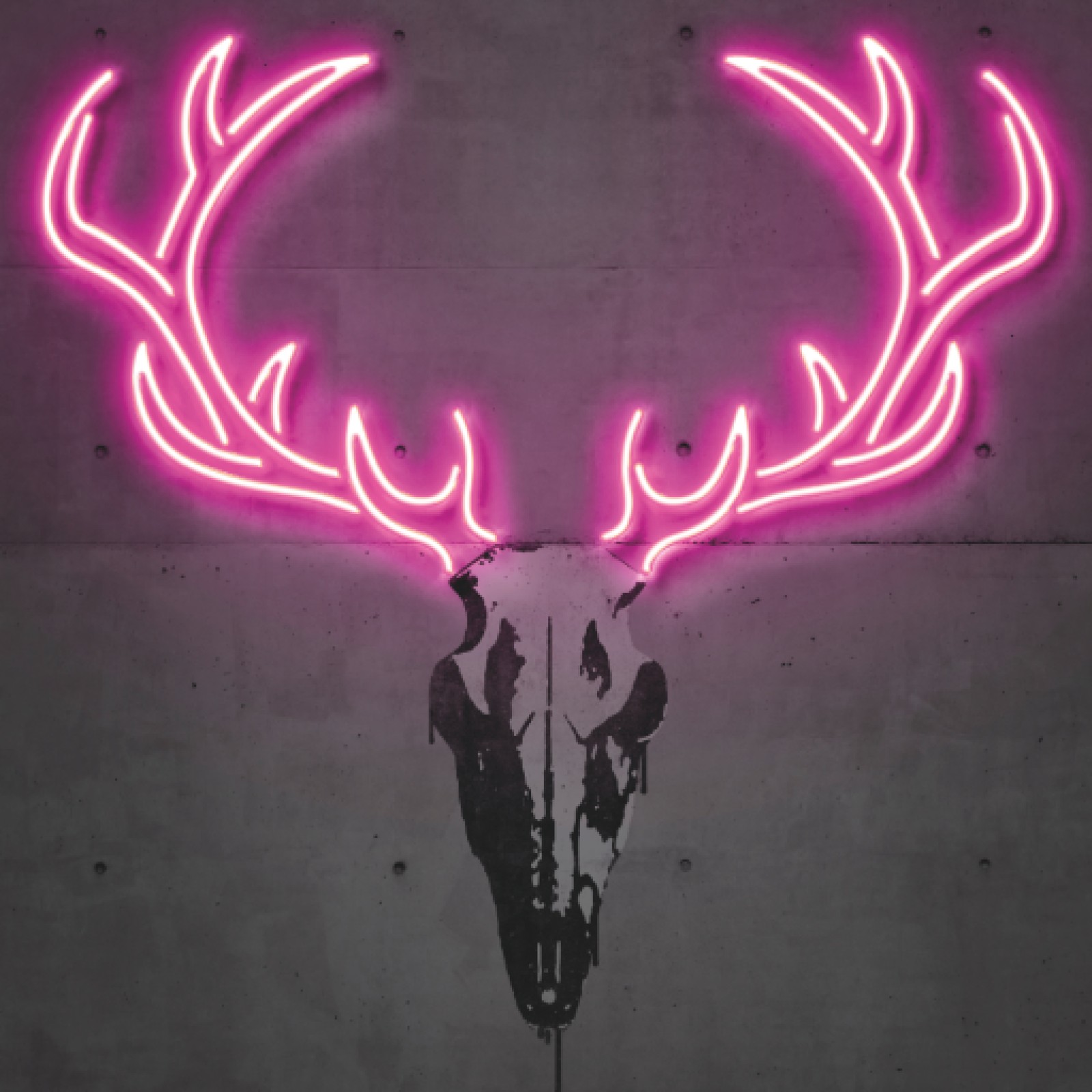 item preview