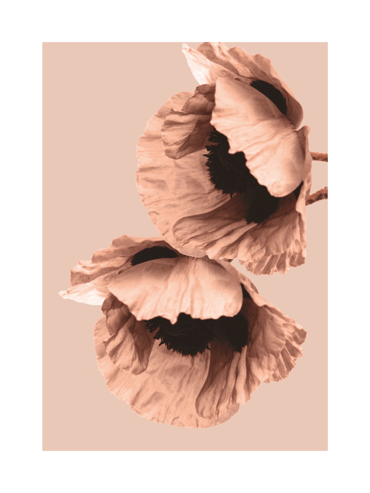 item preview