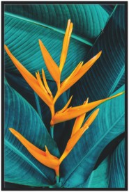 item preview