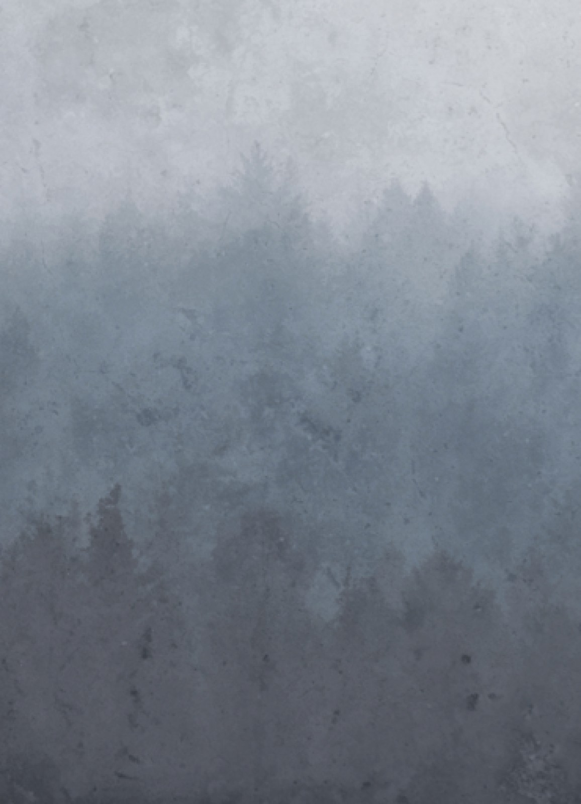 item preview