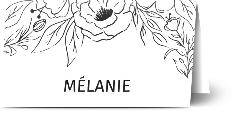 item preview