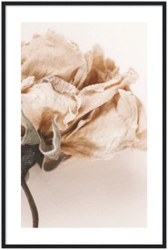 item preview