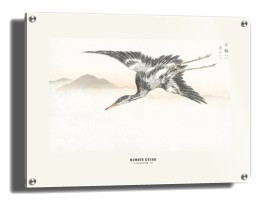 item preview