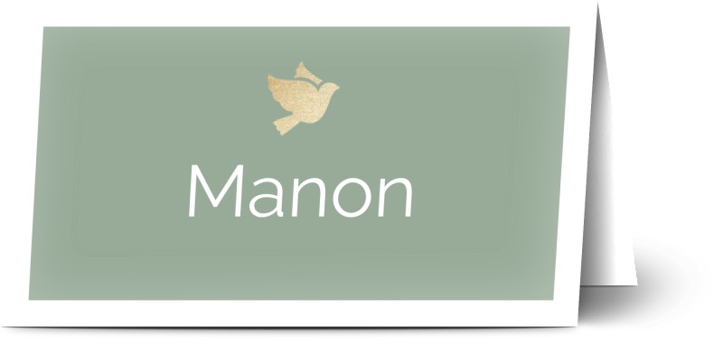 item preview