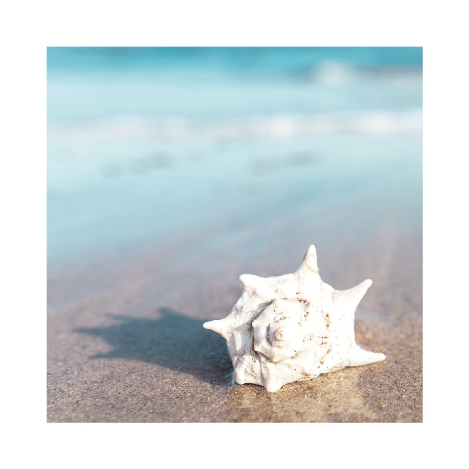 item preview