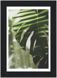item preview
