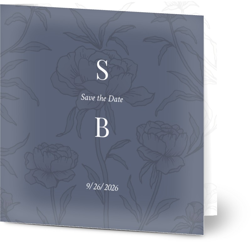 item preview