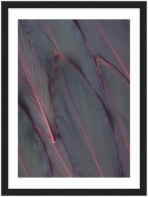 item preview