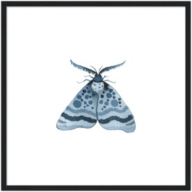 item preview