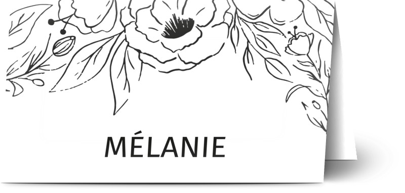 item preview
